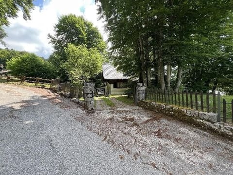 Photo of the lot 2