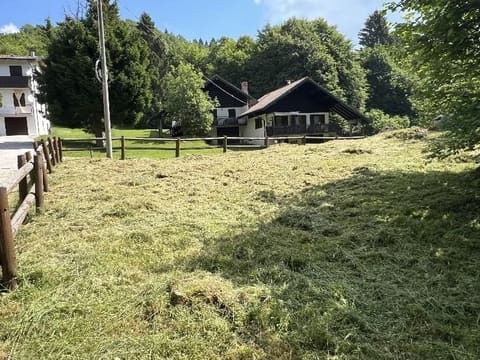 Photo of the lot 8