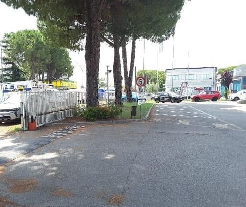 Photo of the lot 4