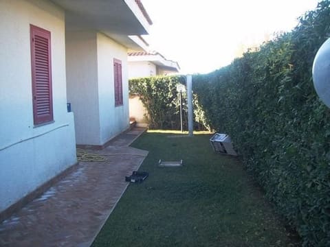Photo of the lot 4