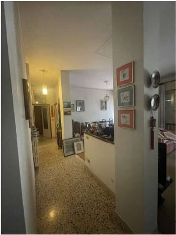 Photo of the lot 6