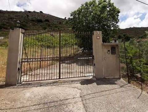 Photo of the lot 2