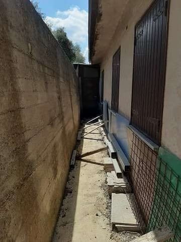 Photo of the lot 3