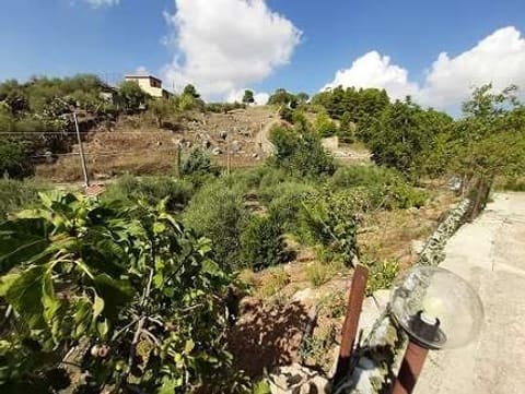 Photo of the lot 8