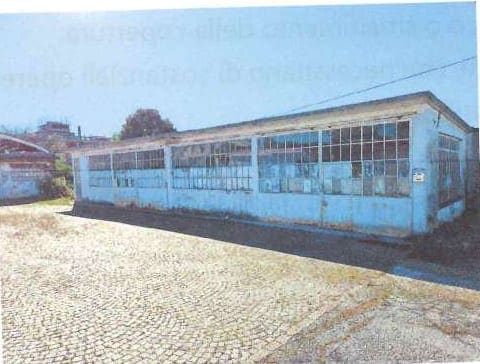 Photo of the lot 3