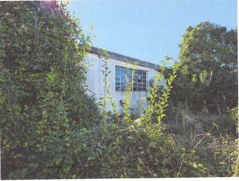 Photo of the lot 5
