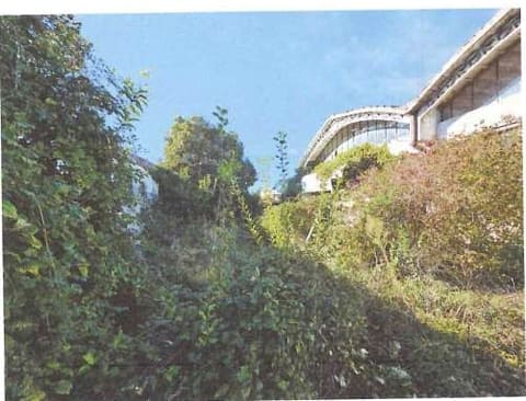 Photo of the lot 6