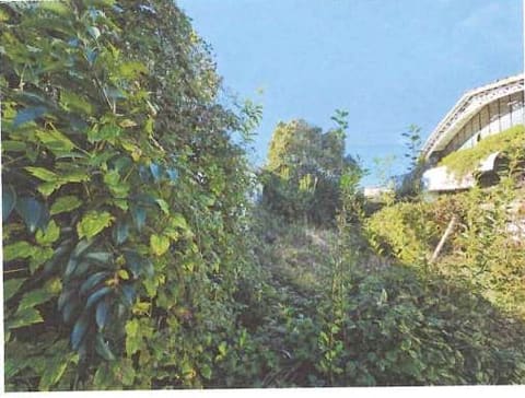 Photo of the lot 7