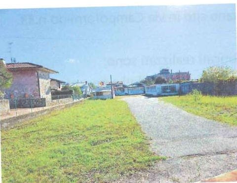 Photo of the lot 8