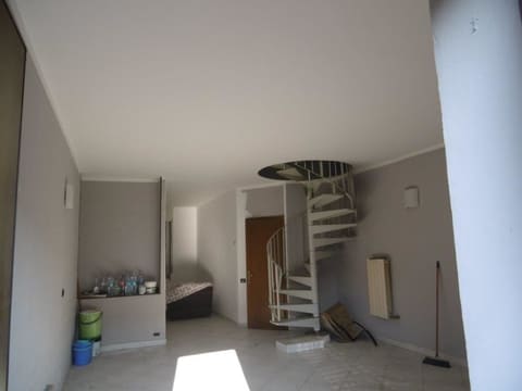 Photo of the lot 5