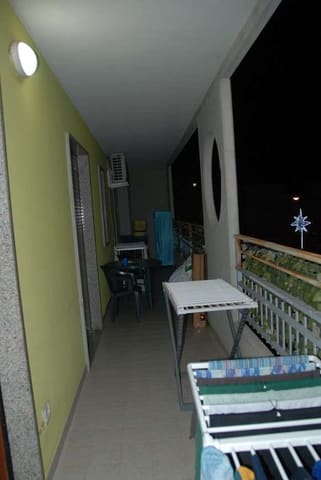 Photo of the lot 3