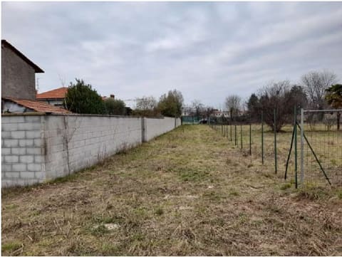 Photo of the lot 1