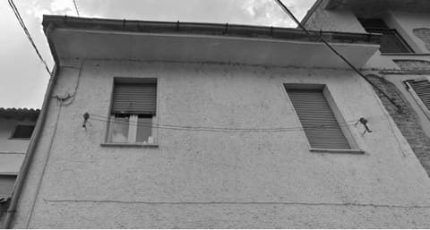 Photo of the lot 3