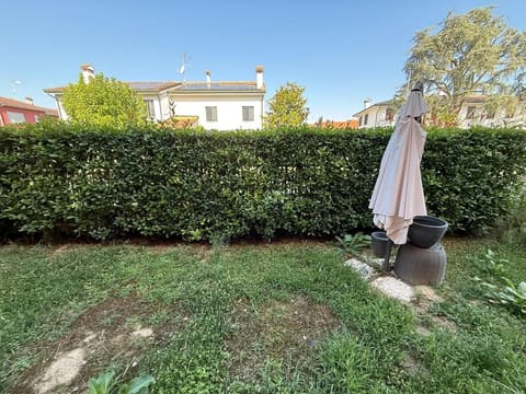 Photo of the lot 6
