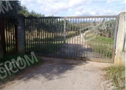 Photo of the lot 2