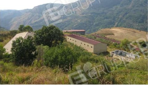 Photo of the lot 3