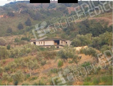 Photo of the lot 5