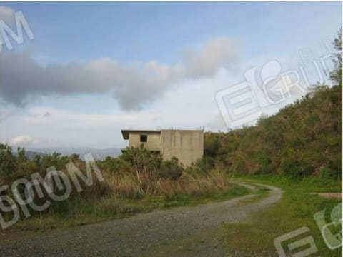 Photo of the lot 6