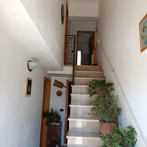 Photo of the lot 3