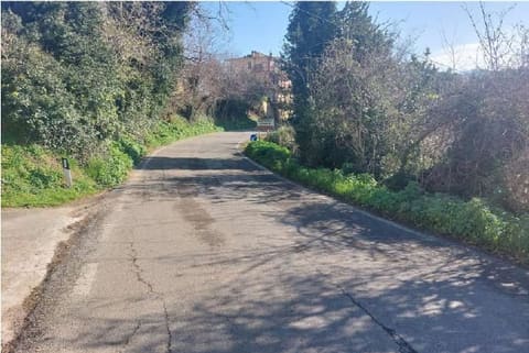 Photo of the lot 2