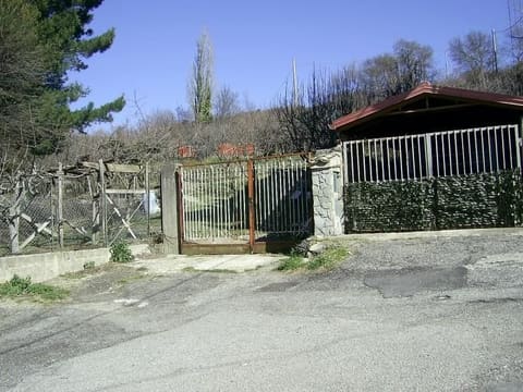 Photo of the lot 2
