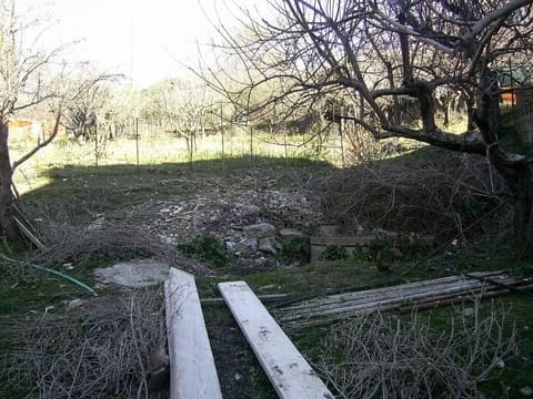 Photo of the lot 4