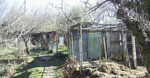 Photo of the lot 5