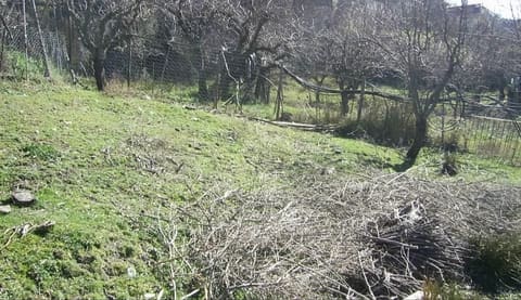 Photo of the lot 6