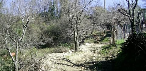 Photo of the lot 8