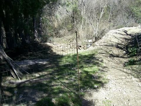 Photo of the lot 9