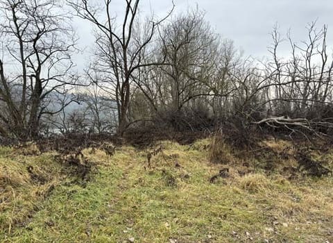 Photo of the lot 3