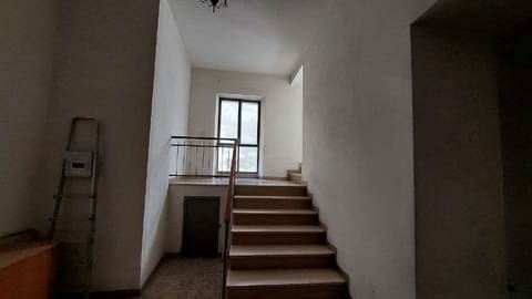 Photo of the lot 2