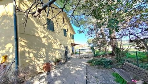 Photo of the lot 1