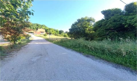 Photo of the lot 3