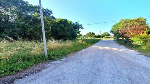 Photo of the lot 5