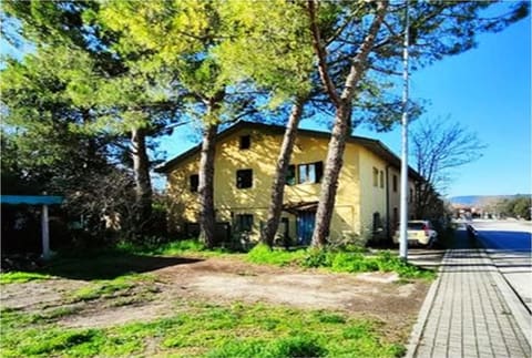 Photo of the lot 2