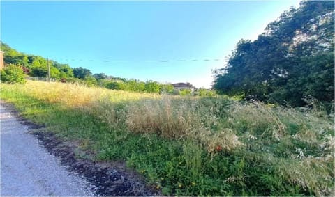 Photo of the lot 6