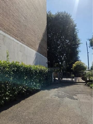 Photo of the lot 2