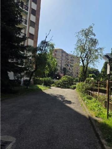 Photo of the lot 3