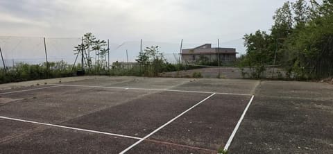 Photo of the lot 4