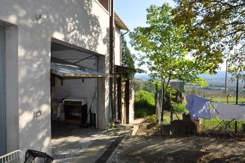 Photo of the lot 1