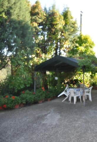 Photo of the lot 2