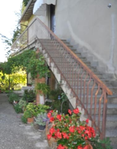 Photo of the lot 3