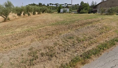 Photo of the lot 4