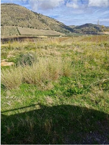 Photo: Altra categoria in Salemi (TP)