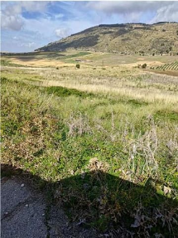 Photo of the lot 2