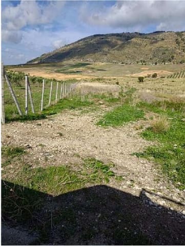 Photo of the lot 3