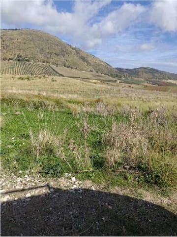Photo of the lot 4