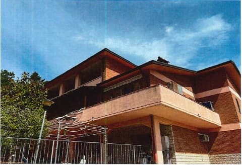 Photo of the lot 3