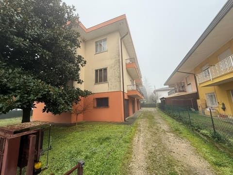 Photo of the lot 2